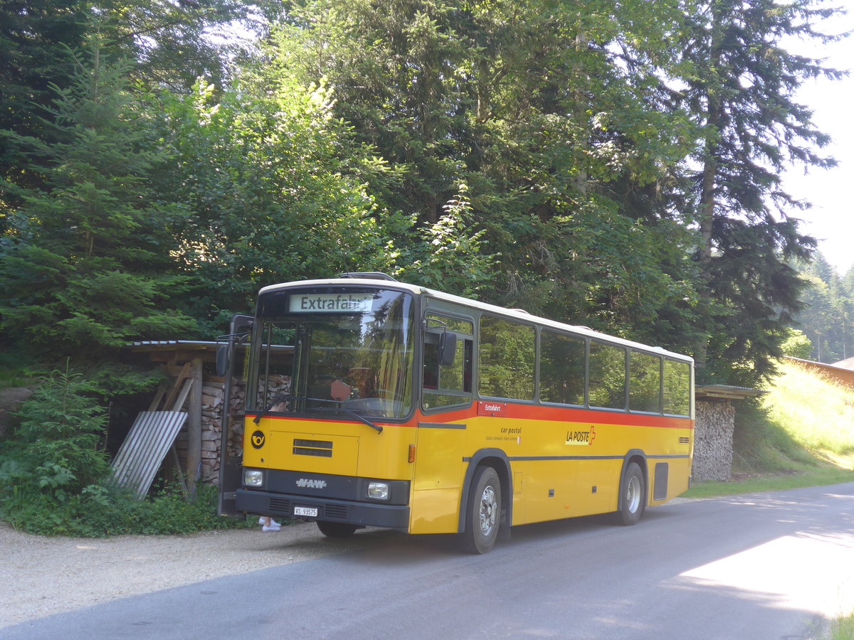 (206'871) - Oser, Brchen - VS 93'575 - NAW/Lauber (ex Epiney, Ayer) am 30. Juni 2019 in Gohl, Houetershus