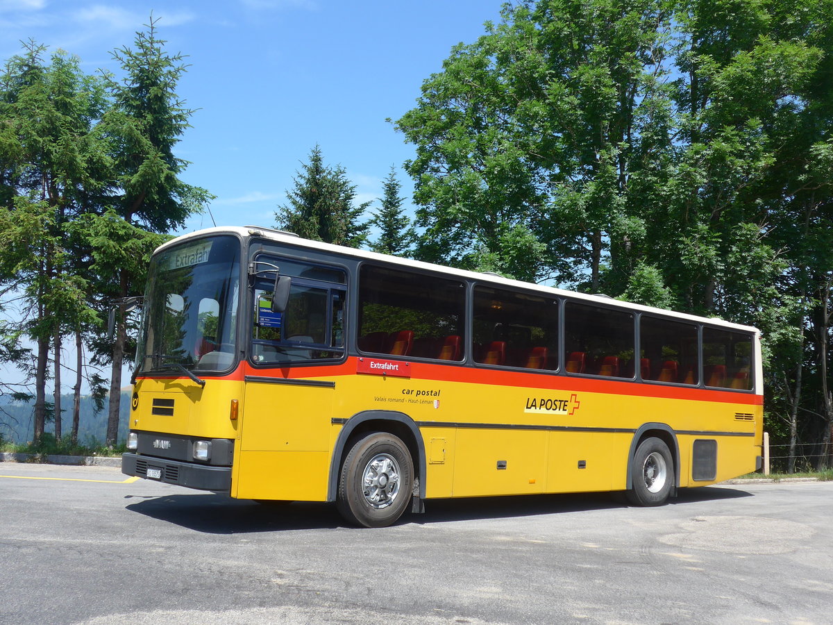 (206'892) - Oser, Brchen - VS 93'575 - NAW/Lauber (ex Epiney, Ayer) am 30. Juni 2019 auf der Lderenalp