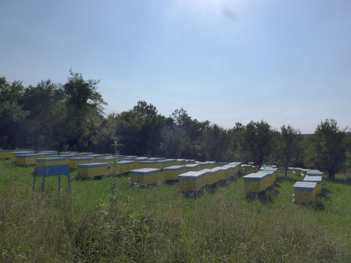 (207'283) - Bienenh�user am 4. Juli 2019 in Kavlak