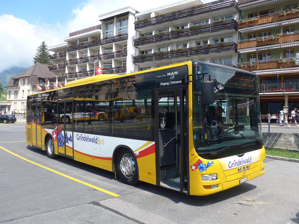 (207'697) - AVG Grindelwald - Nr. 14/BE 202'568 - MAN/Gppel am 9. Juli 2019 beim Bahnhof Grindelwald