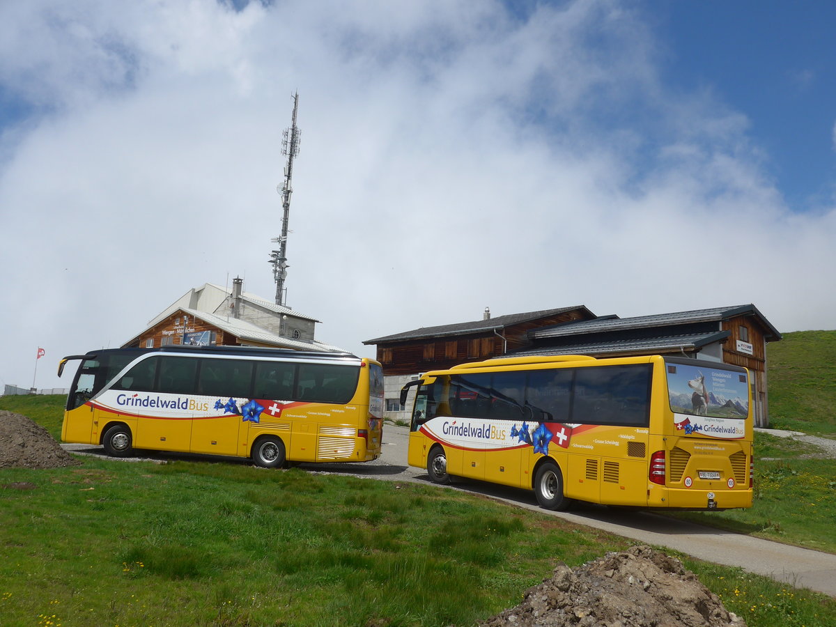 (207'699) - AVG Grindelwald - Nr. 26/BE 268'737 - Setra + Nr. 25/BE 73'249 - Mercedes am 9. Juli 2019 auf dem Mnnlichen