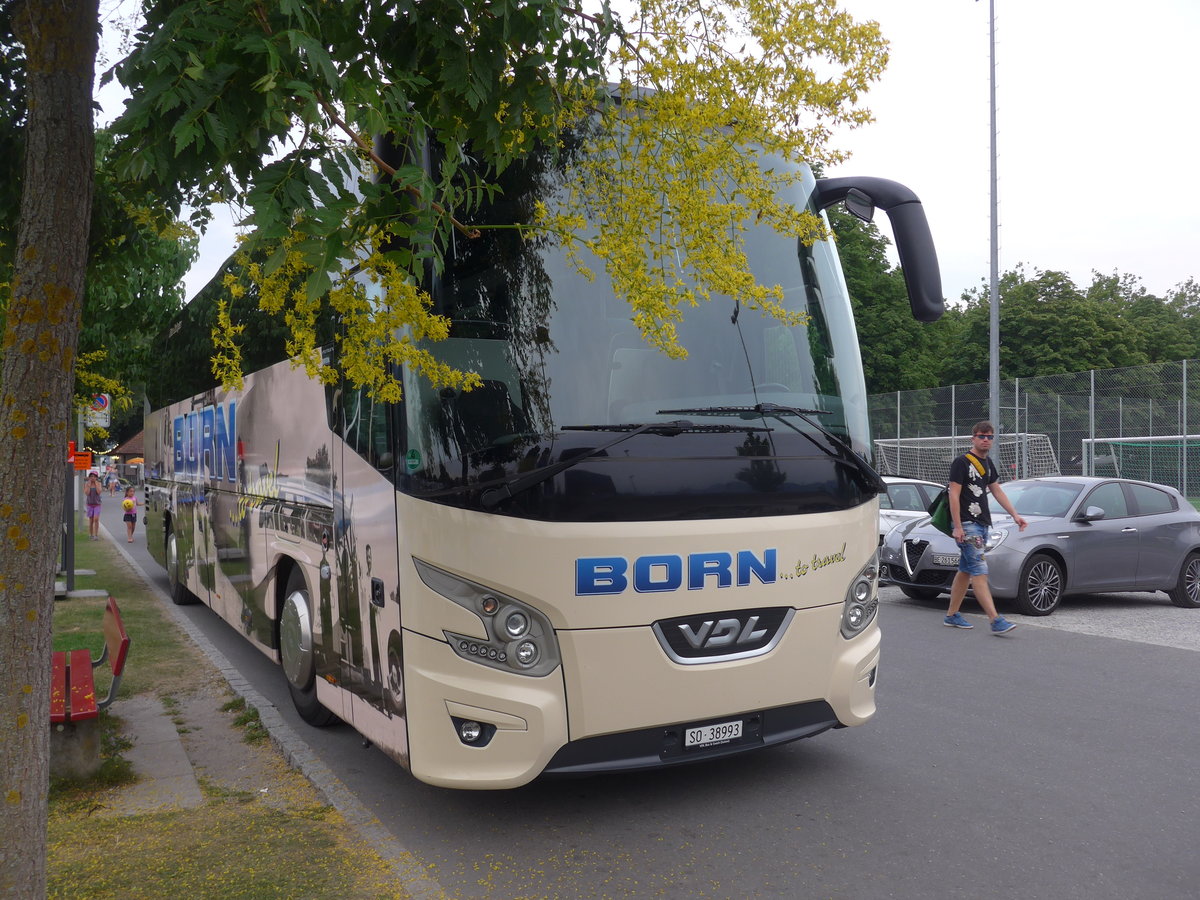 (208'153) - Born, Olten - SO 38'993 - VDL am 25. Juli 2019 in Thun, Strandbad