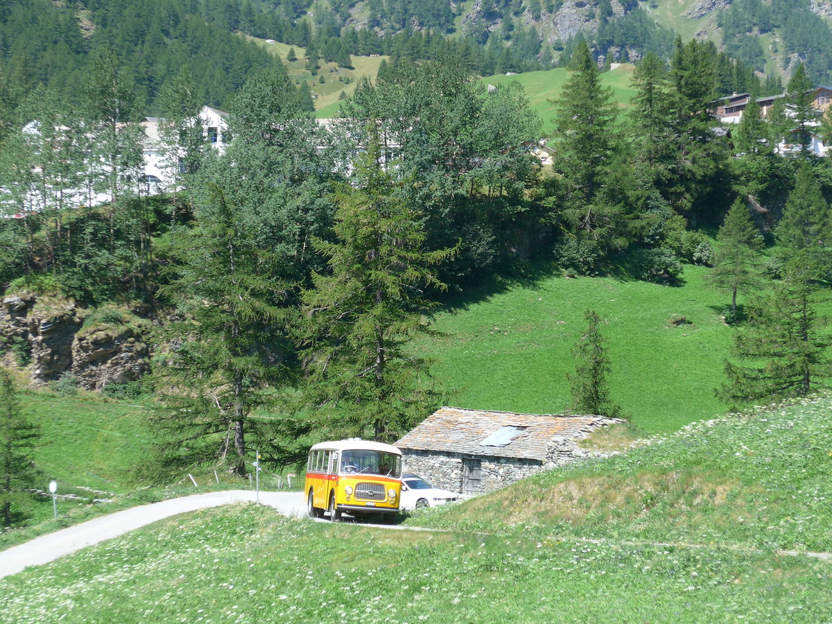 (208'339) - Zenklusen, Glis - VS 327'011 - Berna/BBO (ex Flori, Wohlen; ex Merzaghi, Maroggia) am 3. August 2019 bei Simplon Dorf