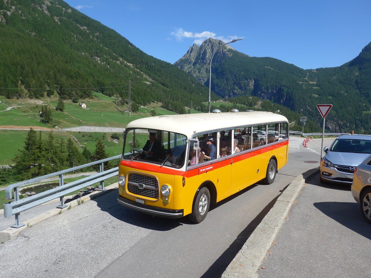 (208'362) - Zenklusen, Glis - VS 327'011 - Berna/BBO (ex Flori, Wohlen; ex Merzaghi, Maroggia) am 3. August 2019 in Simplon Dorf