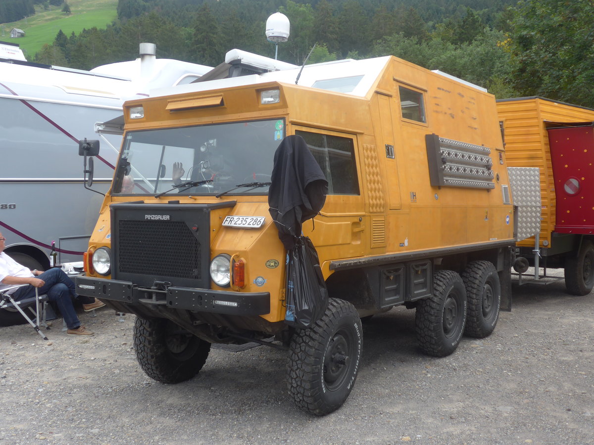 (208'877) - Pinzgauer - FR 235'286 - am 17. August 2019 in Atzm�nnig, Schutt