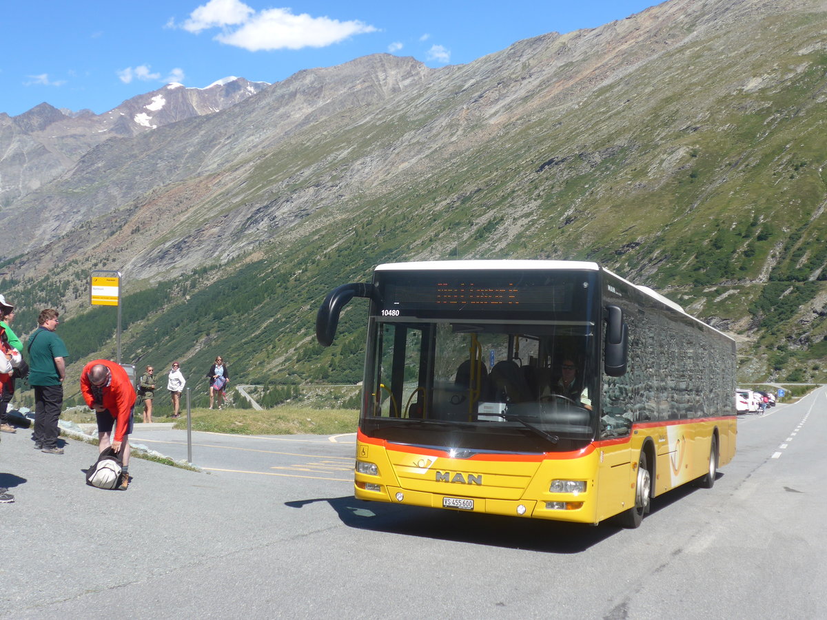 (209'019) - PostAuto Wallis - VS 455'600 - MAN am 18. August 2019 beim Mattmark