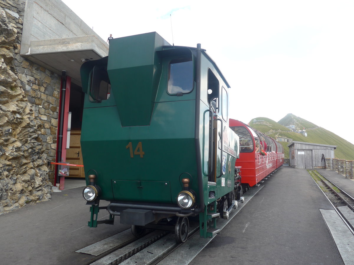 (209'158) - BRB-Dampflokomotive - Nr. 14 - am 31. August 2019 auf dem Brienzer Rothorn
