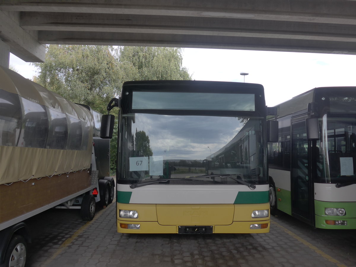 (210'250) - transN, La Chaux-de-Fonds - Nr. 206 - MAN (ex TN Neuchtel Nr. 206) am 12. Oktober 2019 in Kerzers, Murtenstrasse