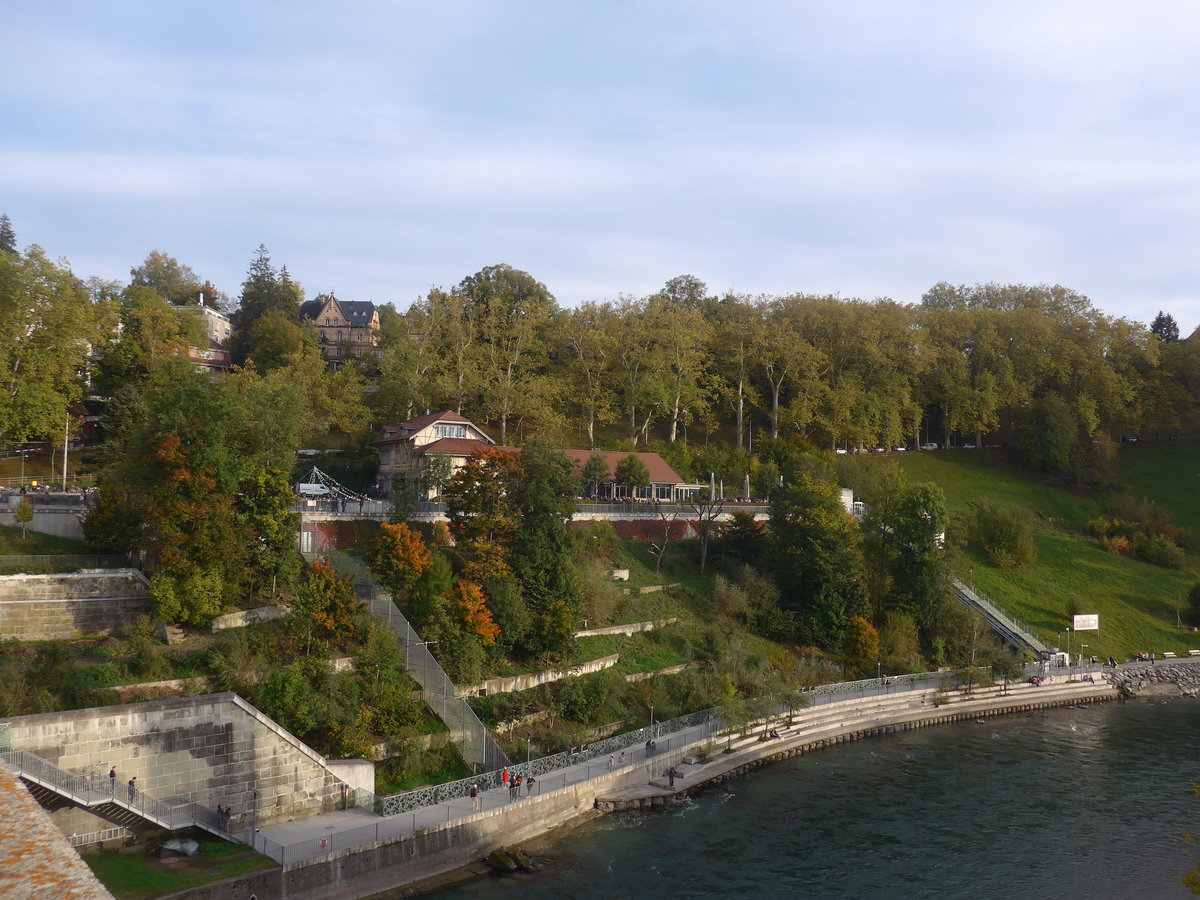 (210'469) - Der B�renpark am 20. Oktober 2019 in Bern