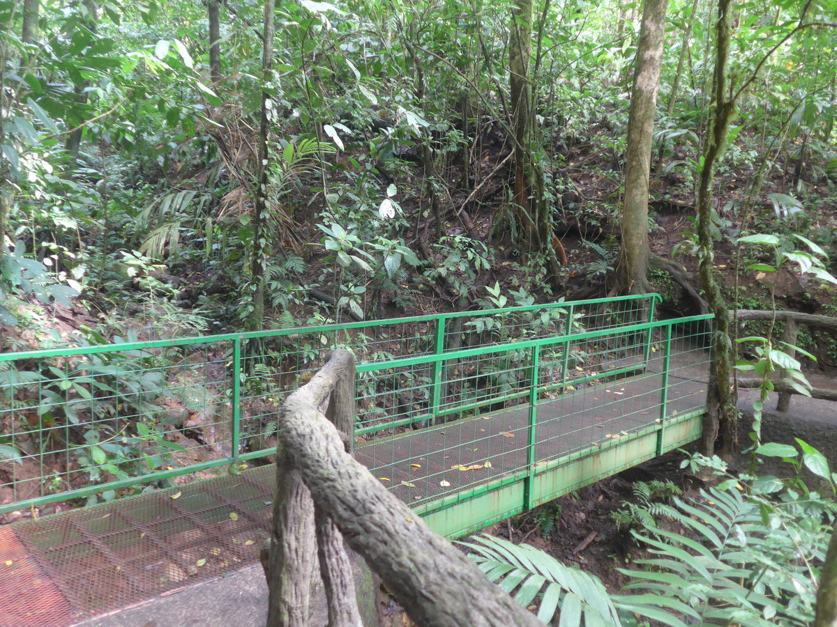 (211'172) - Puente El Pav�n im Mistico am 14. November 2019 bei La Fortuna