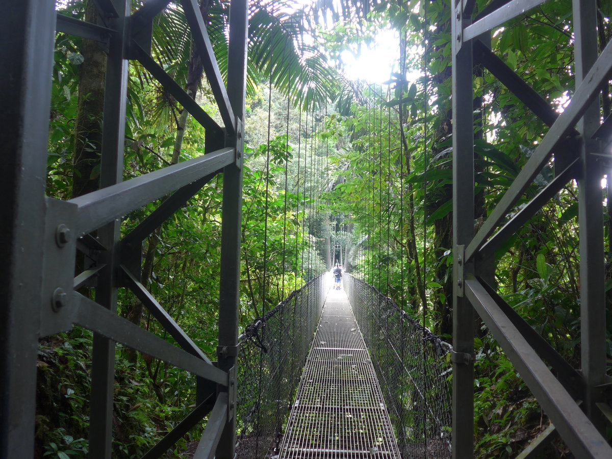 (211'185) - Puente La Catarata im Mistico am 14. November 2019 bei La Fortuna