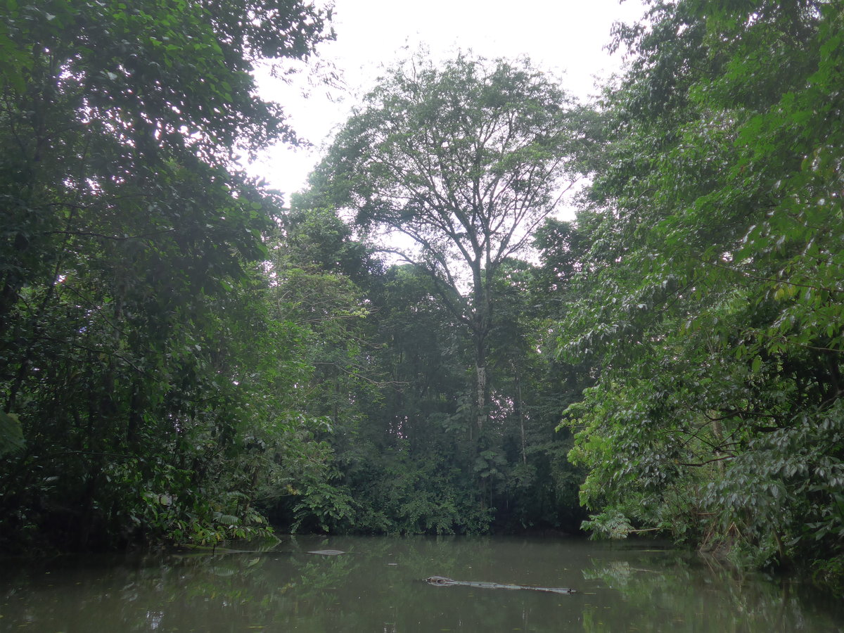 (211'535) - See im Danaus am 17. November 2019 bei La Fortuna