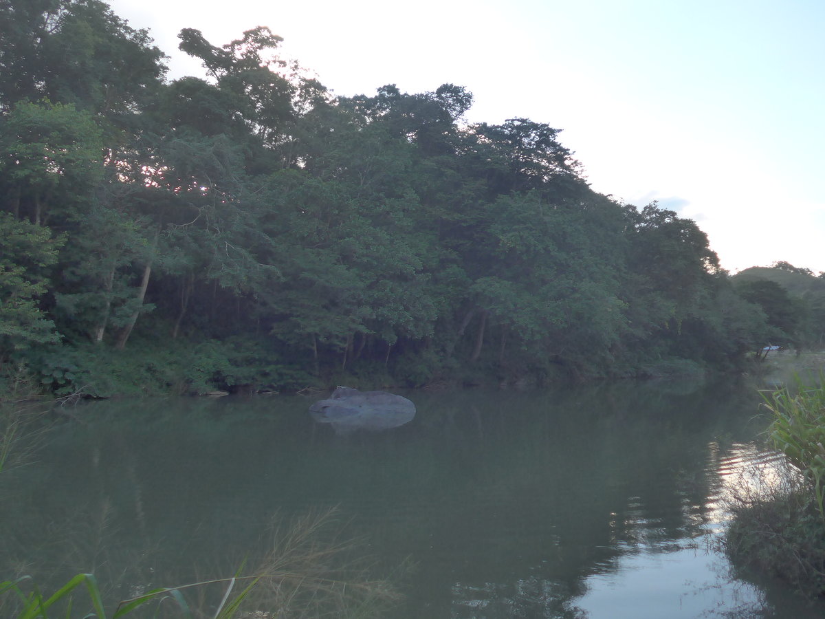 (211'915) - Am Rio Sapoa am 21. November 2019 in La Cruz, Ca�as Castilla