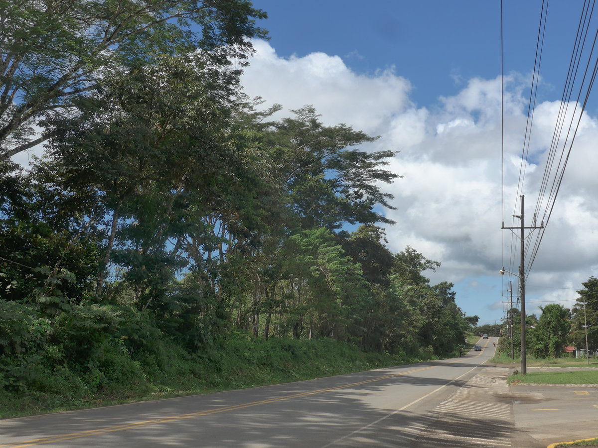 (212'200) - Strasse am 23. November 2019 bei Santa Cecilia
