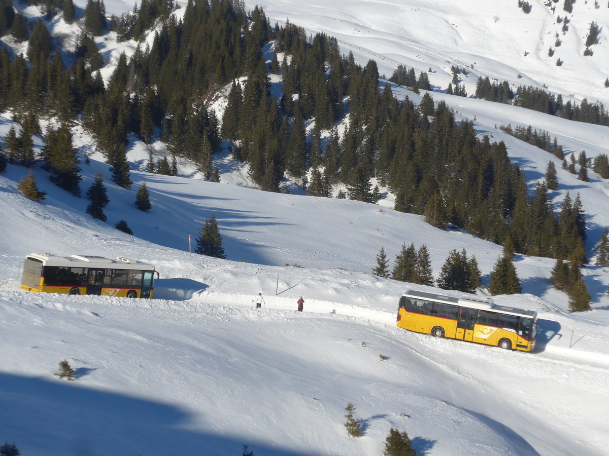 (213'422) - PostAuto Bern - BE 403'166 - Scania/Hess (ex AVG Meiringen Nr. 66; ex Steiner, Messen) + BE 401'465 - Setra (ex AVG Meiringen Nr. 65) am 5. Januar 2020 bei der Grossen Scheidegg