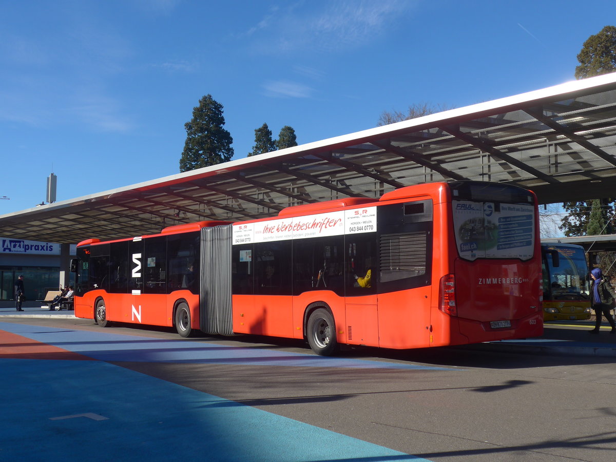 (214'679) - AHW Horgen - Nr. 603/ZH 878'277 - Mercedes am 20. Februar 2020 beim Bahnhof Horgen