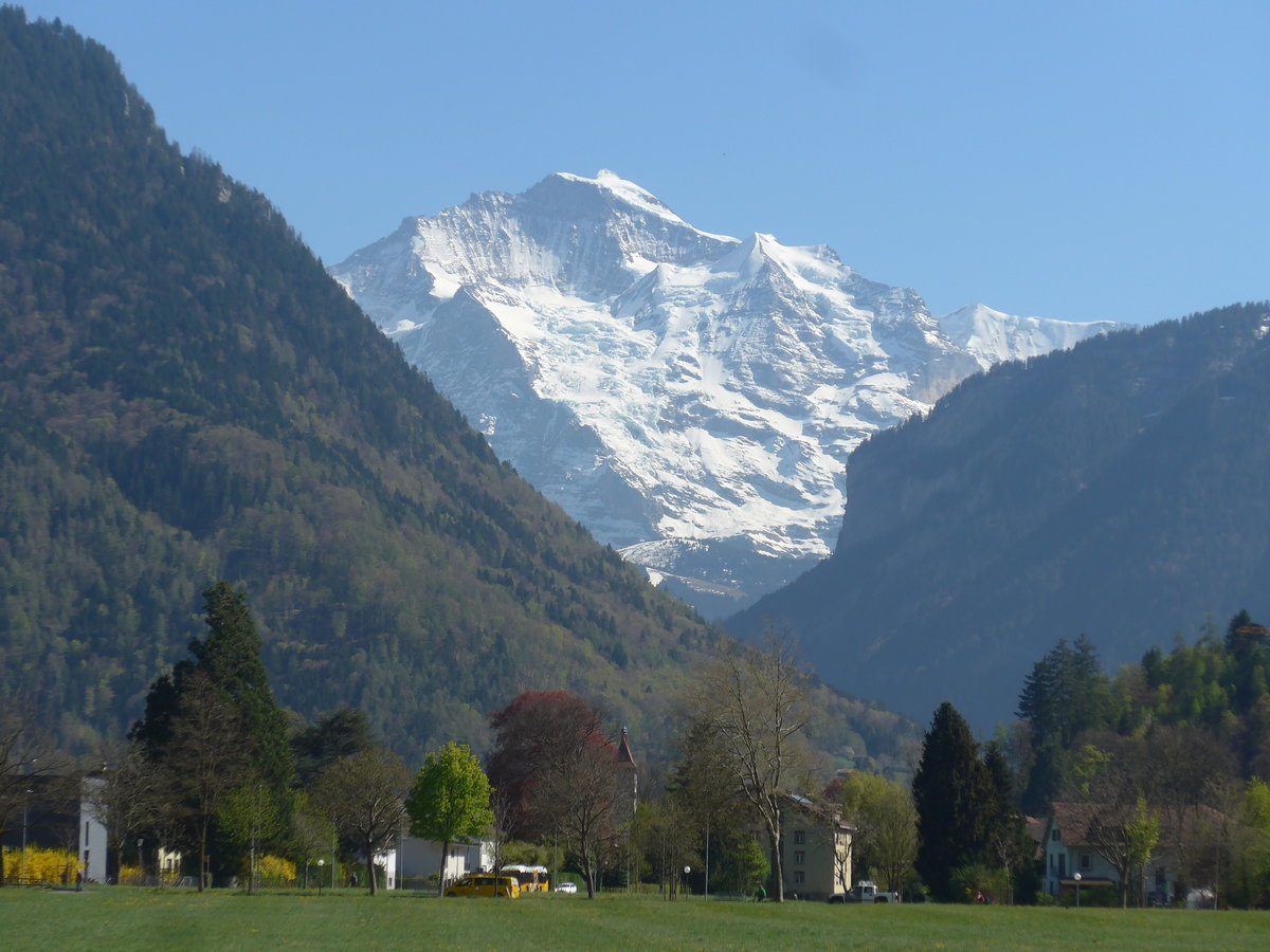 (216'082) - Die Jungfrau am 15. April 2020 vom H�heweg in Interlaken aus