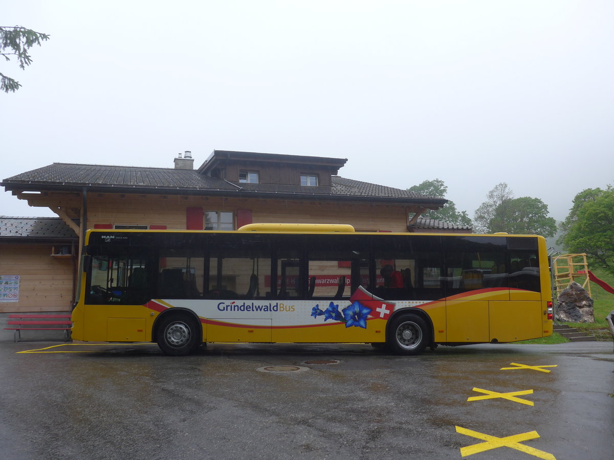 (217'630) - Grindelwaldbus, Grindelwald - Nr. 11/BE 261'865 - MAN/Gppel am 7. Juni 2020 auf der Schwarzwaldalp