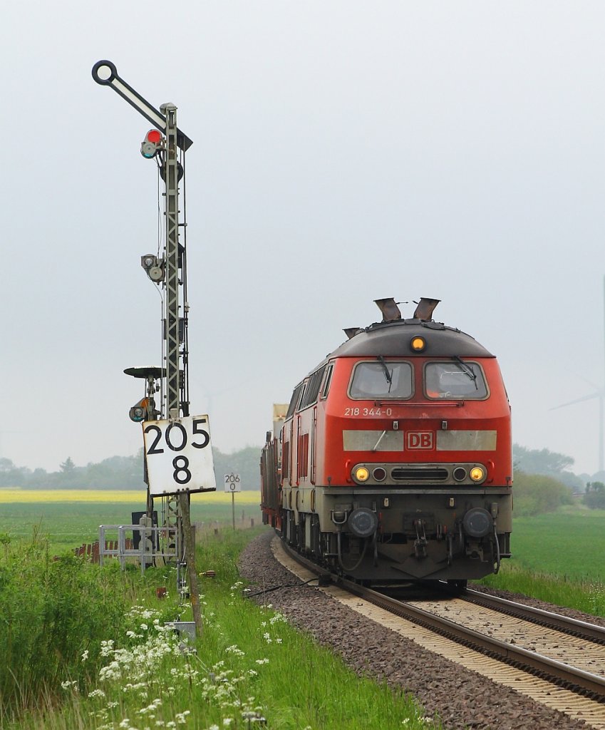 218 344-0 und 364-8 passieren hier mit dem SyltShuttle den Bü Lehnshallig und werden in wenigen Minuten in Niebüll sein. 01.06.2013