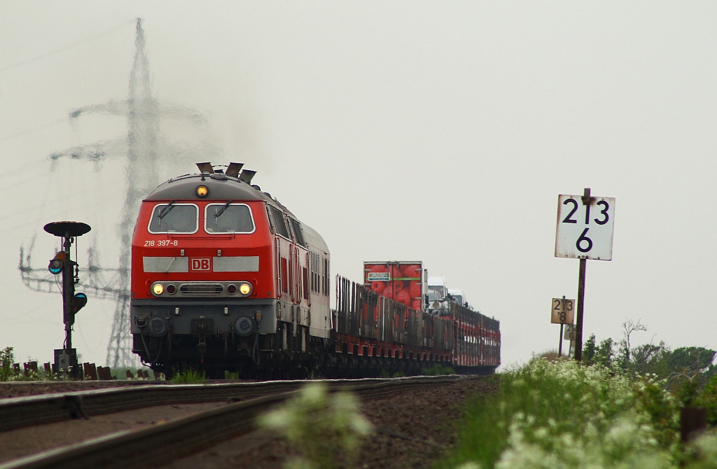 218 397-8 und 314-3 mit dem SyltShuttle von Westerland kommend aufgenommen am Bü Dreieckskoog bei Klanxbüll. 01.06.2013