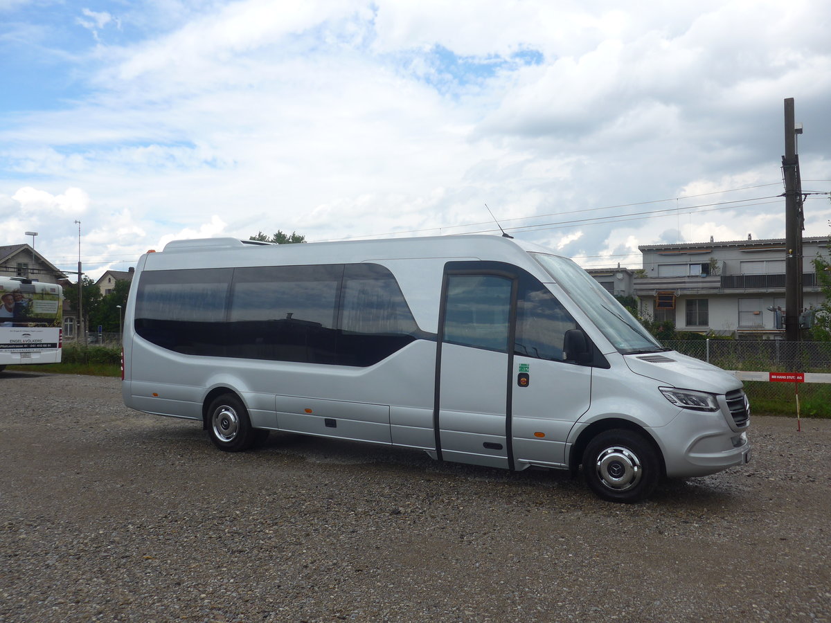 (219'155) - EvoBus, Winterthur - ZH 733'141 - Mercedes am 26. Juli 2020 in Winterthur, EvoBus