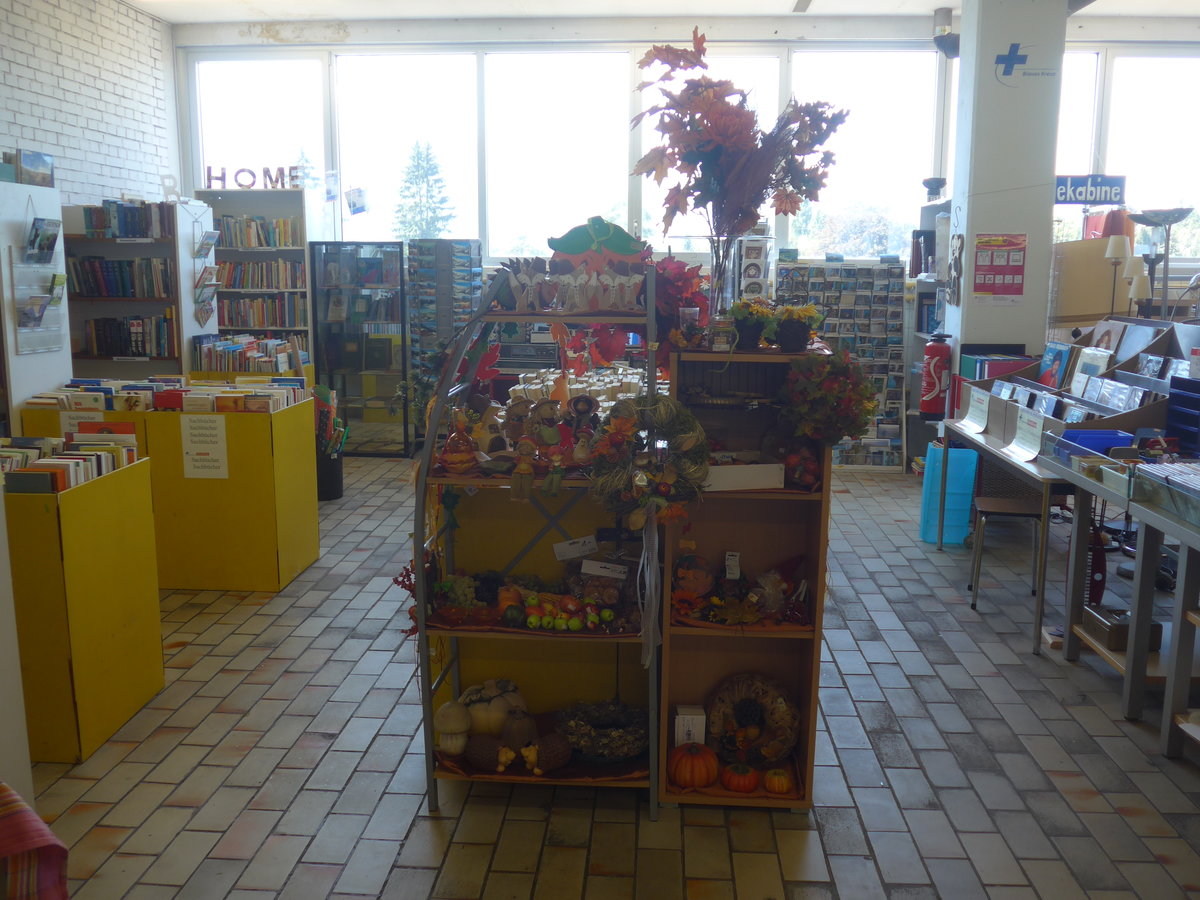 (219'496) - Herbst im BrockiShop Thun am 6. August 2020