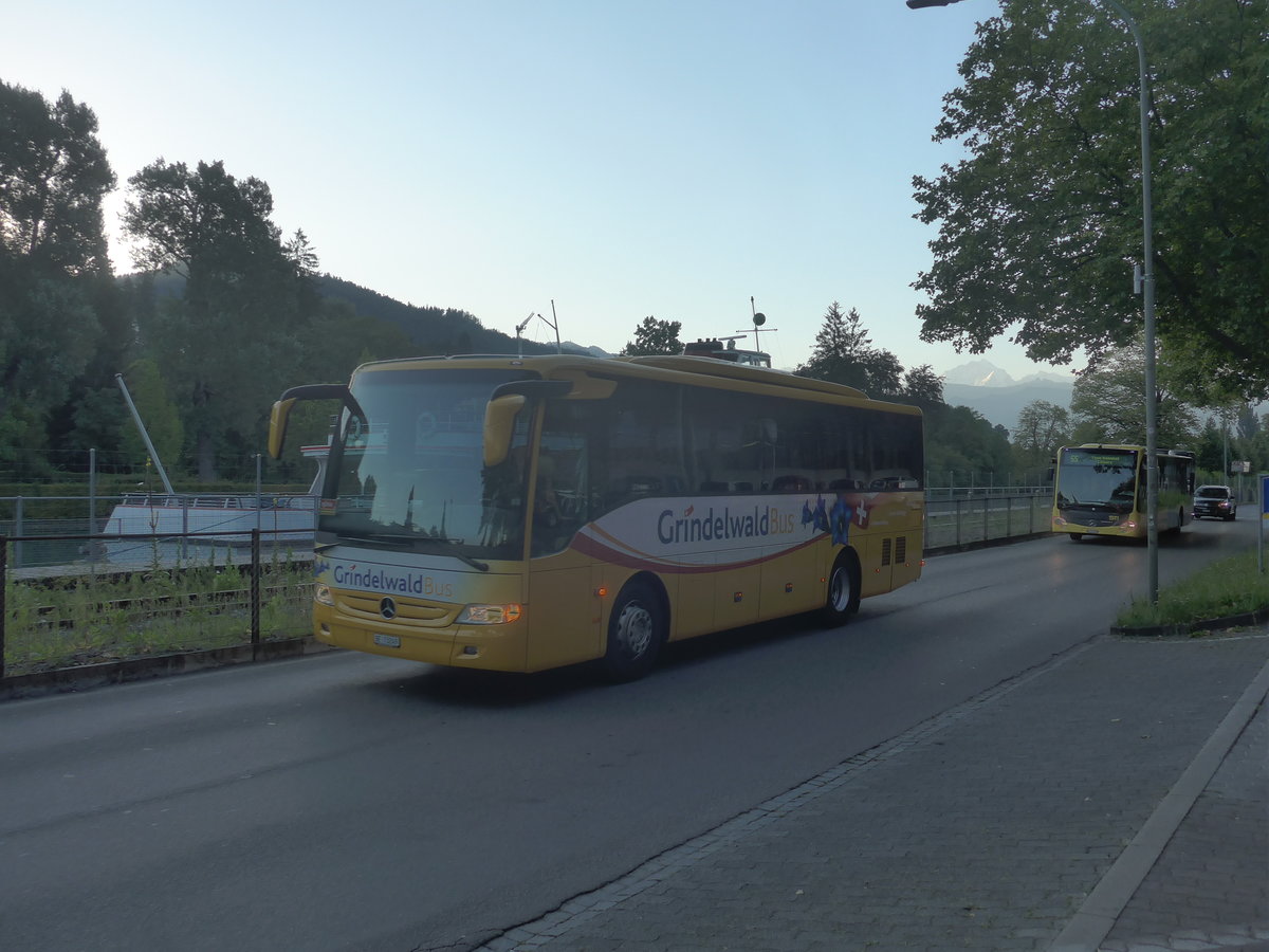 (219'864) - Grindelwaldbus, Grindelwald - Nr. 25/BE 73'249 - Mercedes am 21. August 2020 in Thun, Rosenau