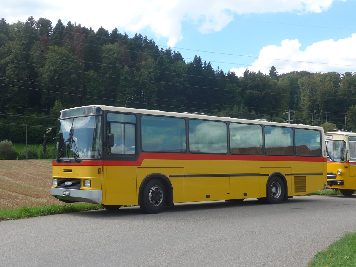 (220'146) - Widmer, Bern - BE 842'322 - NAW/Hess (ex Lombardi, Winterthur; ex Wohlgemuth, Hochwald) am 23. August 2020 in Wynigen, Landi