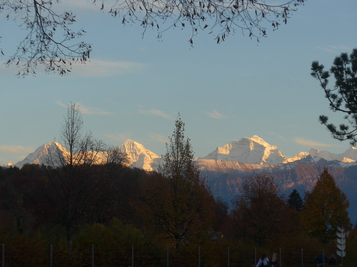 (222'725) - Eiger, M�nch und Jungfrau an der Abendsonne am 31. Oktober 2020 von Thun aus