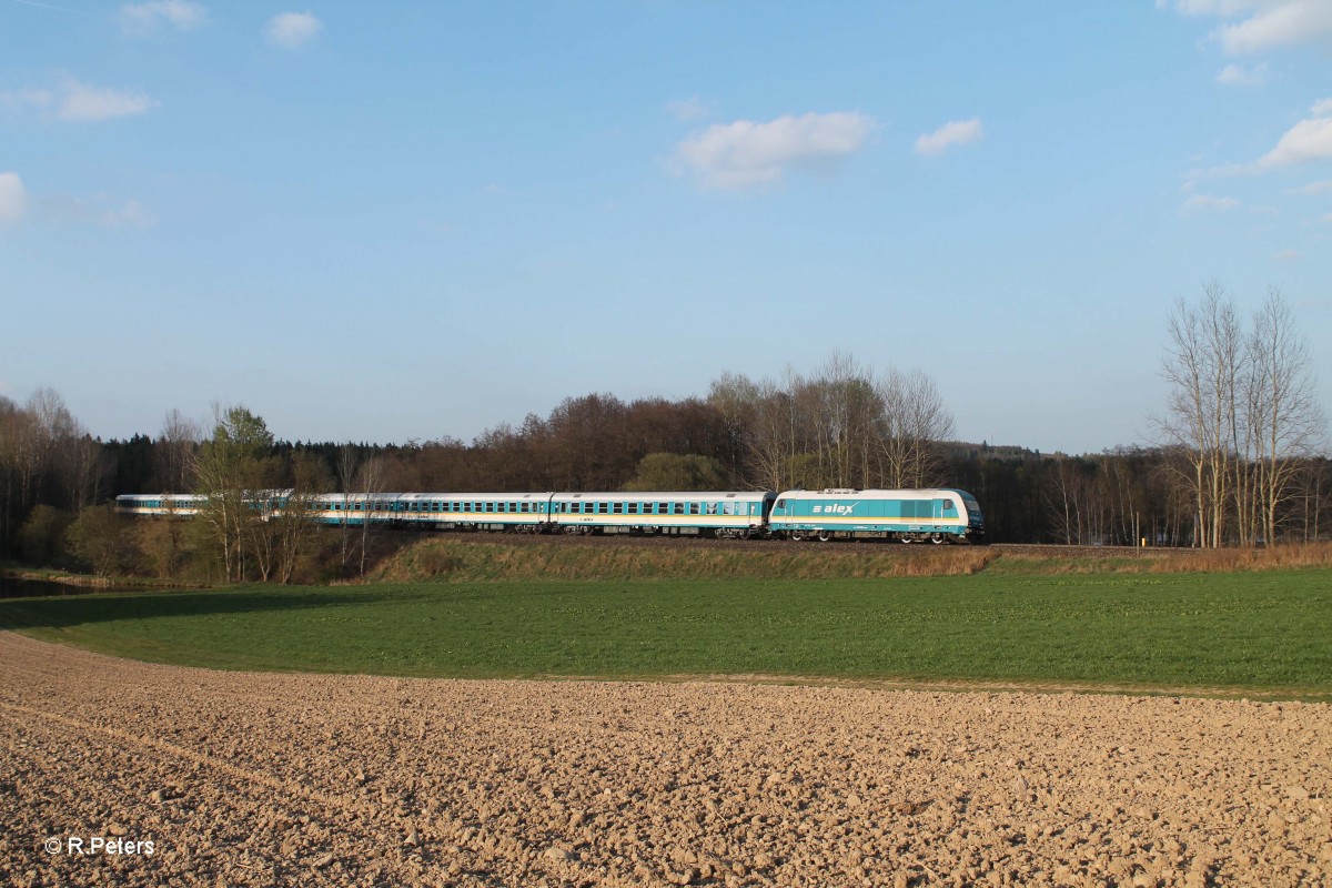 223 063 mit dem ALX84121 Hof - München bei Oberteich. 06.04.14