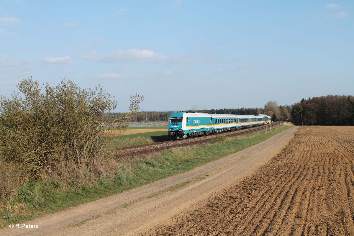 223 066 AXL84110 München - Hof bei Oberteich. 06.04.14