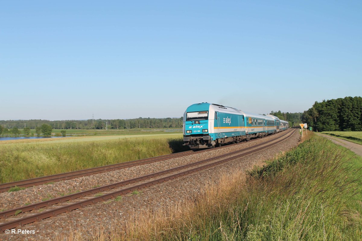 223 066 mit dem ALX841xx München - Hof bei oberteich. 23.06.16