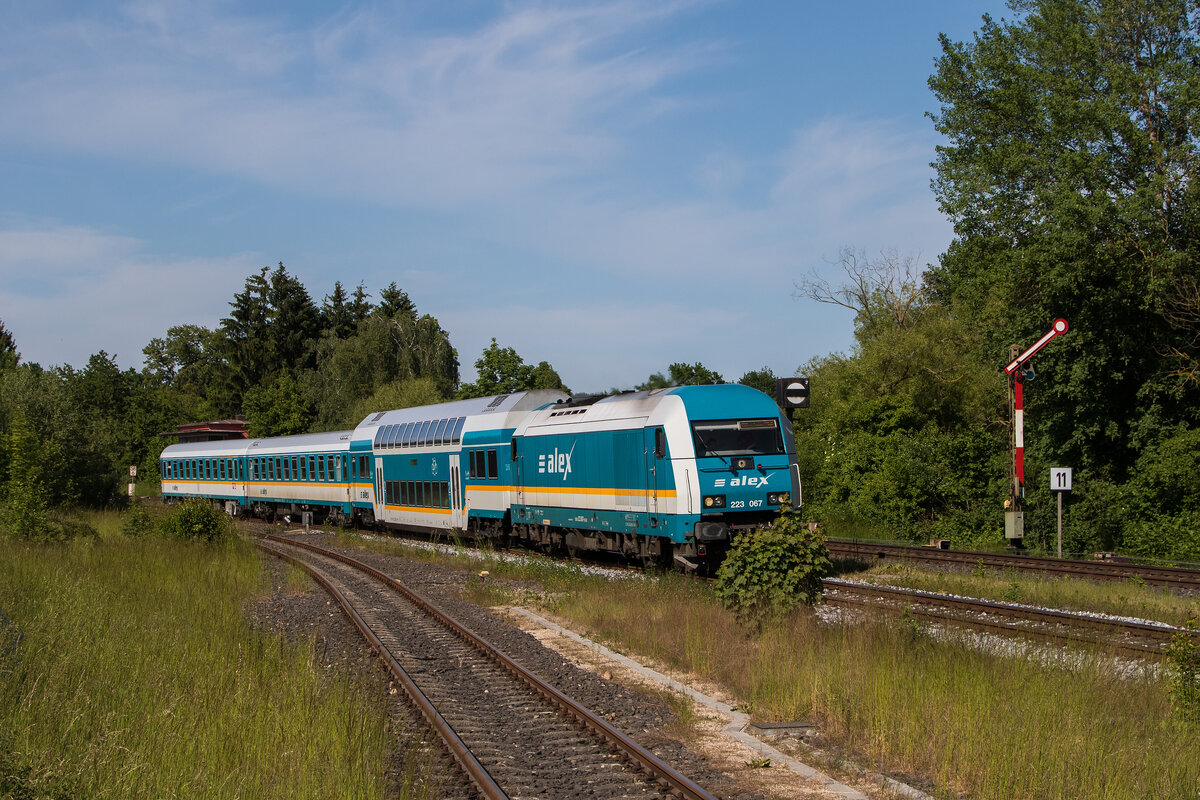 223 067 bei der Ausfahrt aus Nabburg in Richtung Schwandorf am 29. Mai 2023