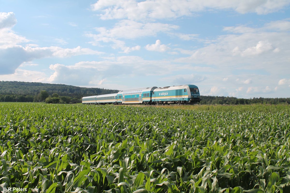 223 068 mit dem ALX79850 Hof - München bei Oberteich. 12.07.20