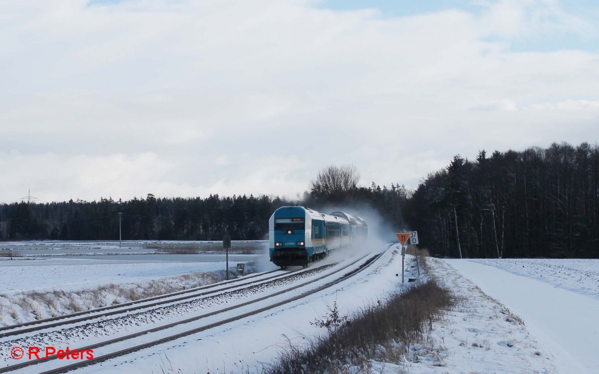 223 069 mit dem ALX84106 München - Hof bei Oberteich. 27.01.15