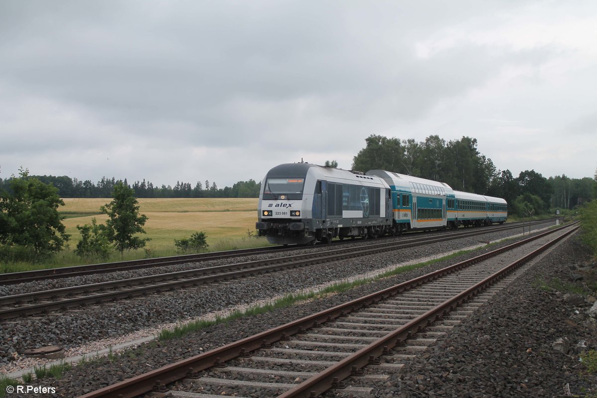 223 081 alias D81 zieht mit dem ALX79862 Hof - München bei Schönfeld. 21.06.19