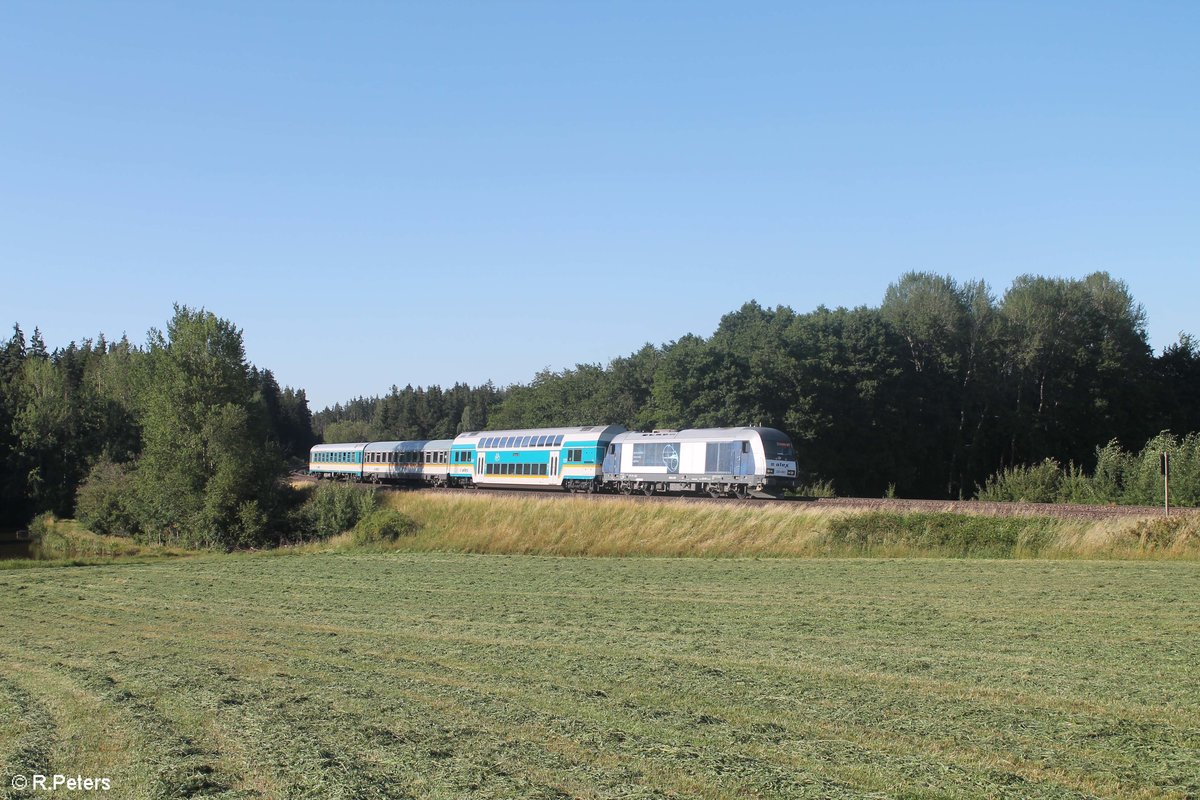 223 081 alias D81 zieht als ALX79852 Hof - München bei Oberteich. 28.06.19