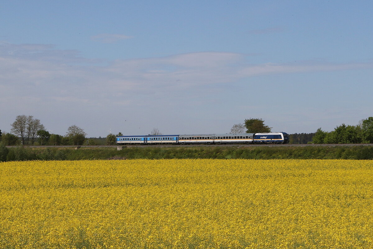 223 081 aus Regensburg kommend am 2. Maia 2024 bei Ponholz.