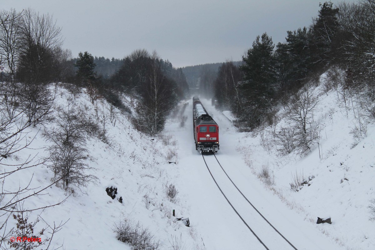 223 662-6 durchfährt den ehmaligen Bahnhof Seußen mit dem 45368 Cheb - Nürnberg. 31.01.15