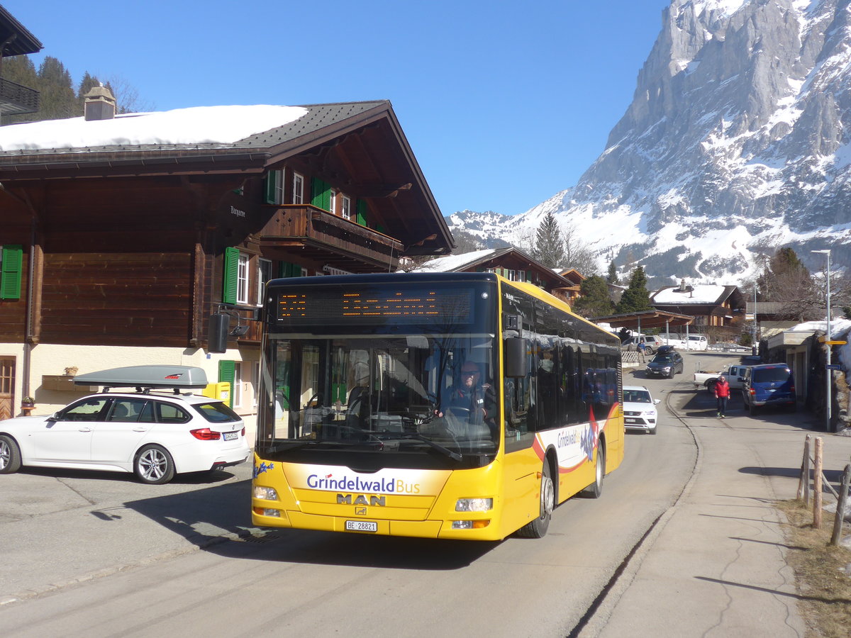 (223'871) - Grindelwaldbus, Grindelwald - Nr. 16/BE 28'821 - MAN am 28. Februar 2021 in Grindelwald, Terrassenweg