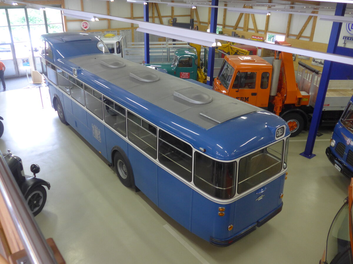 (225'795) - VBZ Zrich (FBW-Club) - Nr. 239 - FBW/Tscher Hochlenker (ex Kamm, Schlieren; ex VBZ Zrich Nr. 239; ex VBZ Zrich Nr. 219) am 6. Juni 2021 in Wetzikon, FBW-Museum