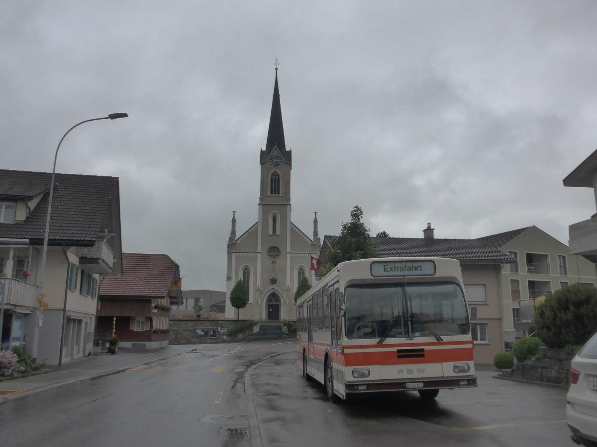 (225'796) - Wegmller, Mnsingen - BE 399'675 - FBW/R&J (ex Bamert, Wollerau) am 6. Juni 2021 in Doppleschwand, Landgasthof Linde