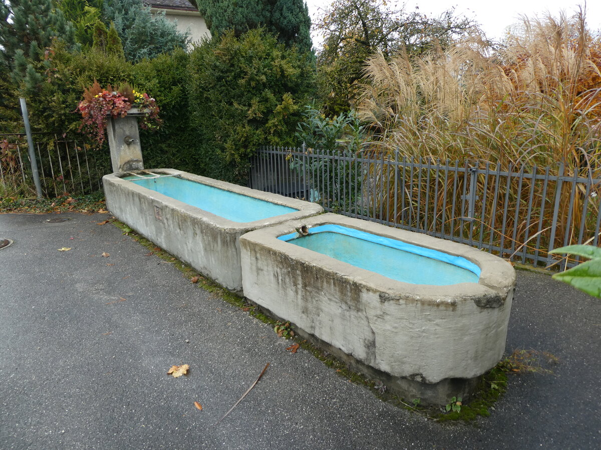 (230'758) - Brunnen am 14. November 2021 in Faoug