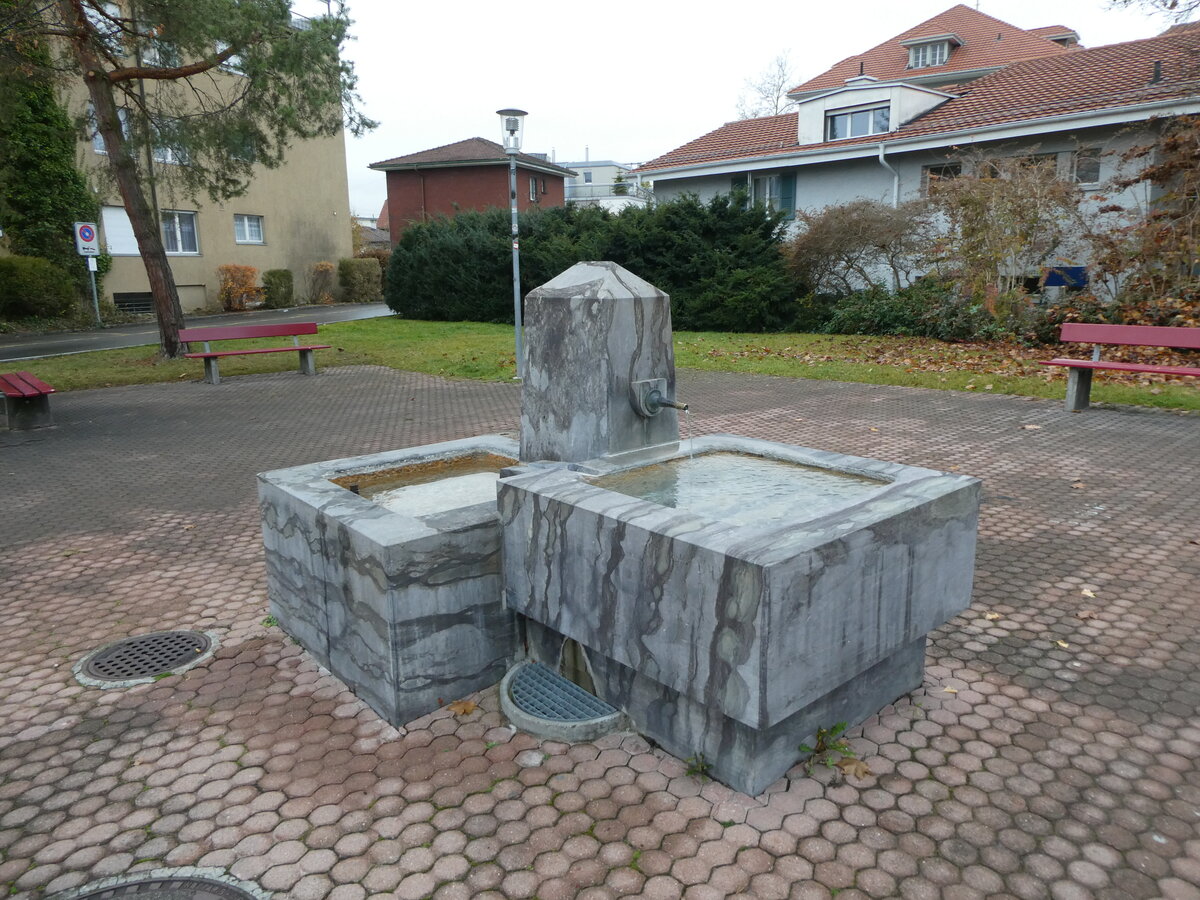 (230'889) - Brunnen am 22. November 2021 in Thun-D�rrenast
