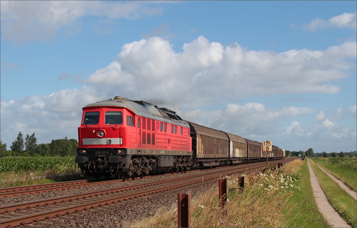 232 117 mit Güterzug in Richtung Süden am 26.07.2015 in Epenwörden