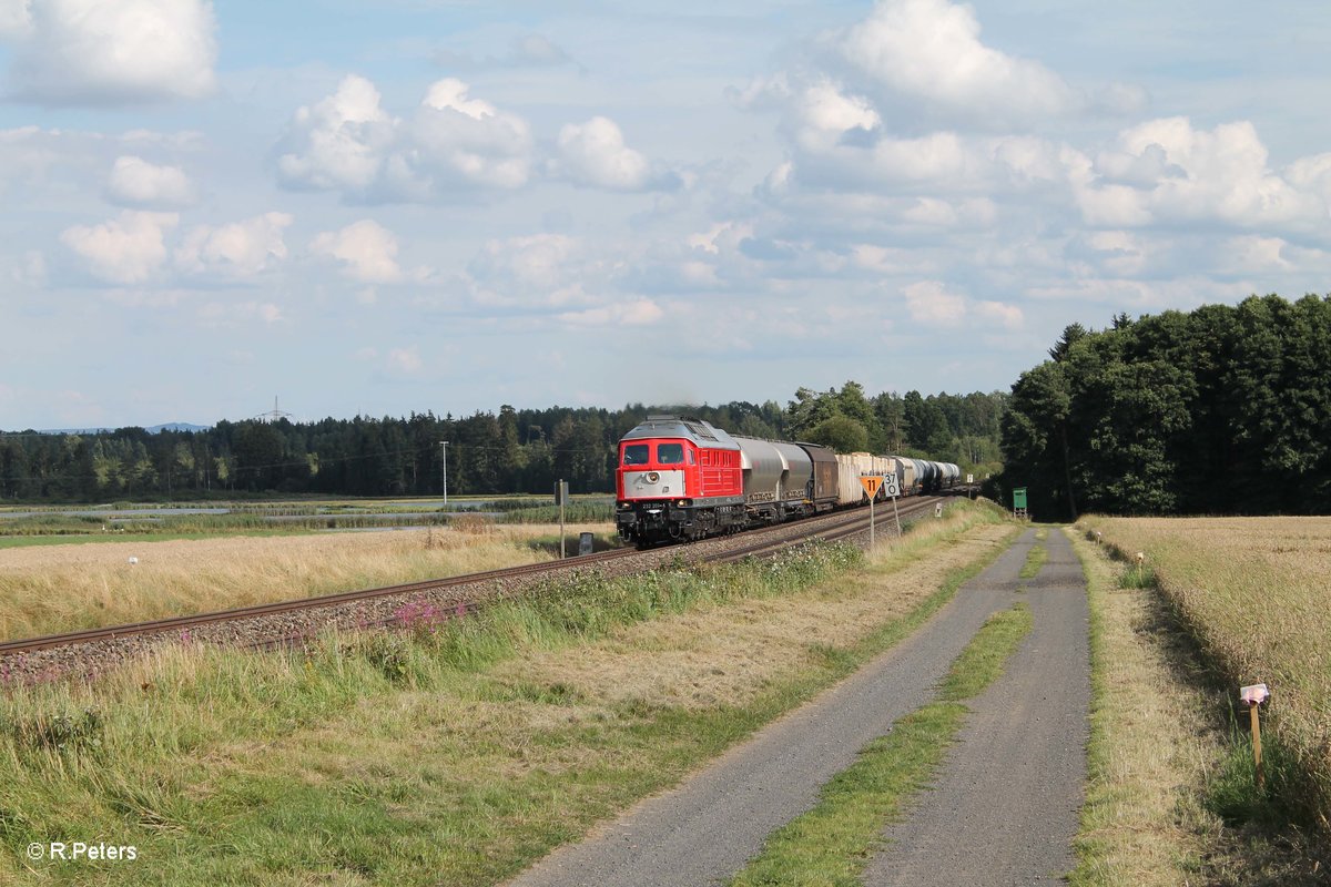 232 201-4 zieht bei Oberteich den 51724 NNR - LLE Frankenwald Umleiter und es ist der erste Einsatz nach dem sie aus Mühldorf wieder zurück ist. 08.08.16