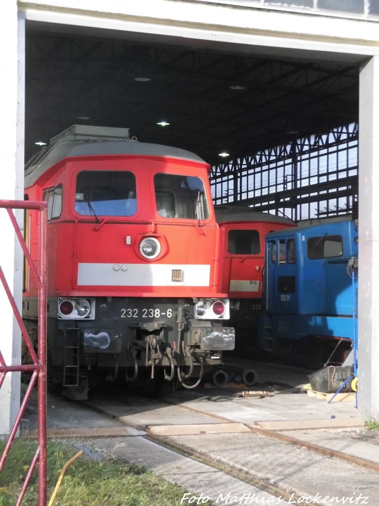 232 238 in der Leichtbauhalle der LEG in Delitzsch am 19.11.15