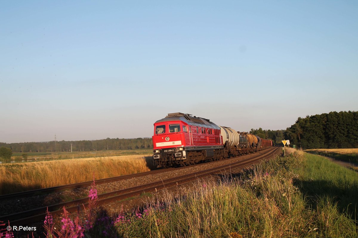 232 259-2 zieht bei Oberteich den 51716 Nürnberg - Leipzig Engelsdorf. 20.07.16