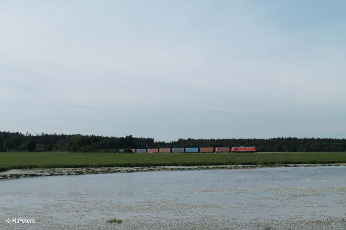 232 280 zieht bei Oberteich den KT 47380  Altenschwander  BMW Containerzug, Furth im Wald umleiter bei Oberteich. 17.06.15