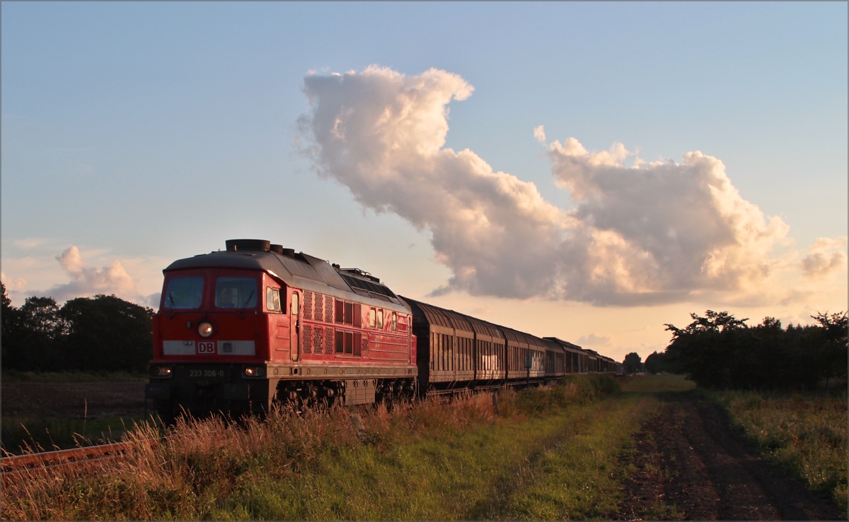 232 306 am 23.07.15 mit einem Umleiter bei Jübek